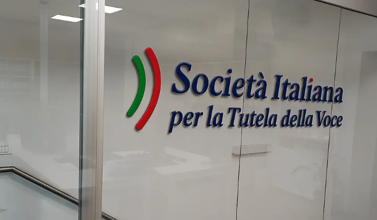 Tutela voce